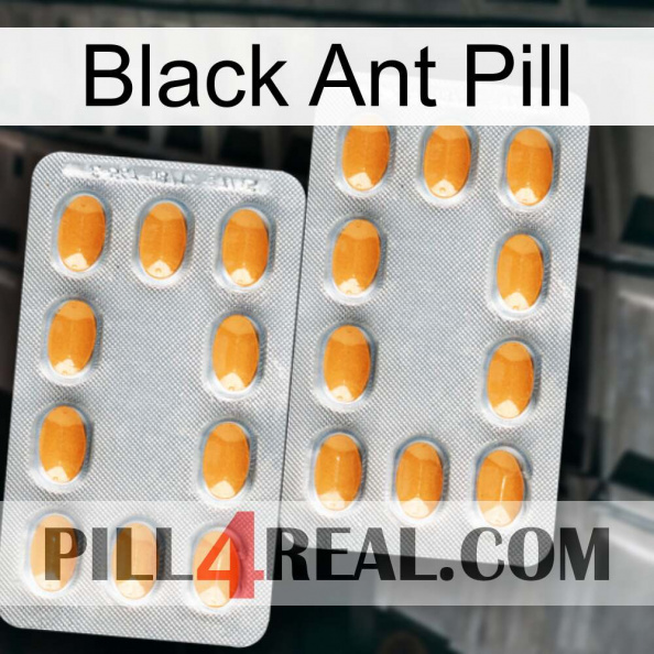 Black Ant Pill cialis4.jpg